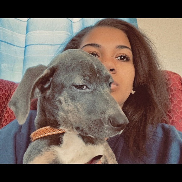 Profile Picture of Liya Lonon (@liyalonon) on Poshmark