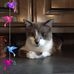 Profile Picture of Gwen Peterson (@gwen.peterson.7) on Facebook