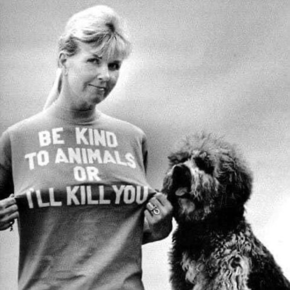 Profile Picture of Jamie Sanden (@jamie_sanden) on Poshmark