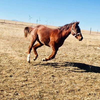 Profile Picture of Alex.arrington14 (@AlexArrington14) on Twitter