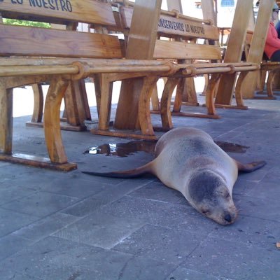 David Hauser - Twitter Profile Picture of David Hauser (@Exzavier) on Twitter