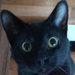 Profile Picture of chasityousley682 (@@chasityousley682) on Tiktok