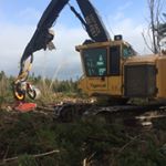 Profile Picture of Brian Coady Forestry Ltd (@brian_coady_forestry) on Instagram