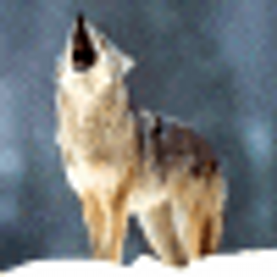 Profile Picture of Jeff Varnell (@greysportcoat) on Twitter