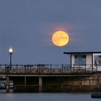 Profile Picture of Stephen Sugarman (@stephen.sugarman.3) on Facebook