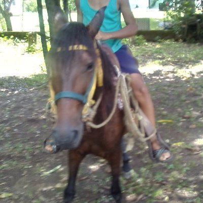 Profile Picture of Simon Orta (@SimonOrta3) on Twitter