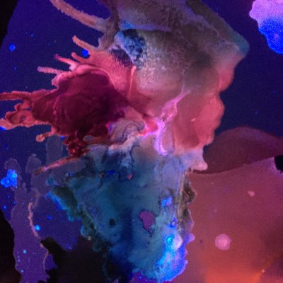 Profile Picture of Michael Avella (@lucid_soup) on Twitter