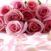 Profile Picture of Kim Sasser (@kimsasser1067) on Youtube