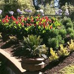 Ken N Gayle Hetzler - Instagram Profile Picture of Ken N Gayle Hetzler (@demndose) on Instagram