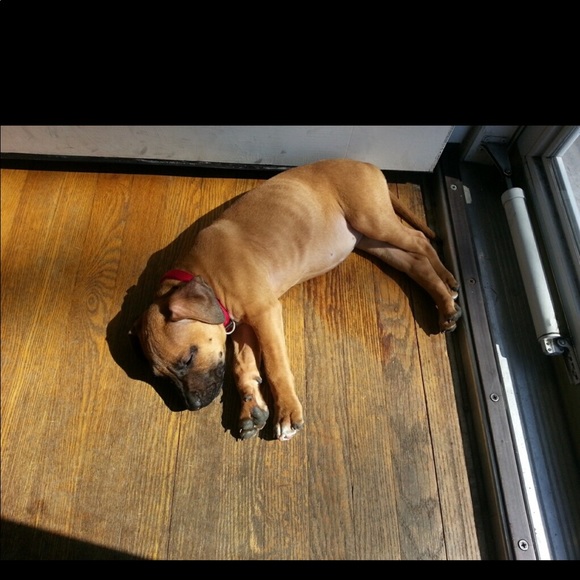 Profile Picture of Isaiah Kostyal (@isaiahkostyal) on Poshmark