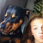 Profile Picture of Danielle Donkin (@dani_donkin) on Instagram