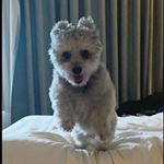 Profile Picture of Remington Albert Wender (@remingtonwender) on Instagram