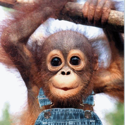 Profile Picture of James Kilburn (@JamesKilburn1) on Twitter