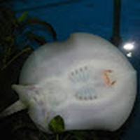 Profile Picture of Eric Maxson (@eric-maxson-6) on Quora