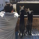 Profile Picture of David Kochanowski (@davethewave1328) on Instagram