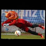 Charlie Bingham - Instagram Profile Picture of Charlie Bingham (@daviddeturkey) on Instagram