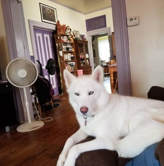 Profile Picture of Robert Skinner (@betterlate52) on Poshmark