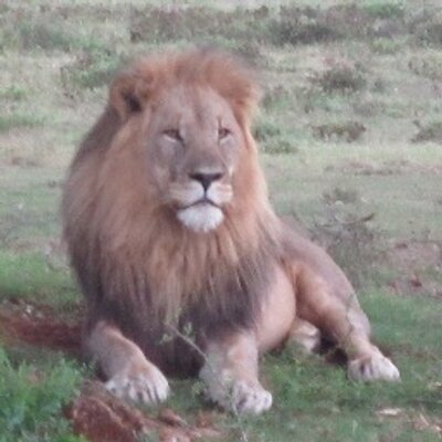 Profile Picture of Deborah Heath (@Webblesworth) on Twitter