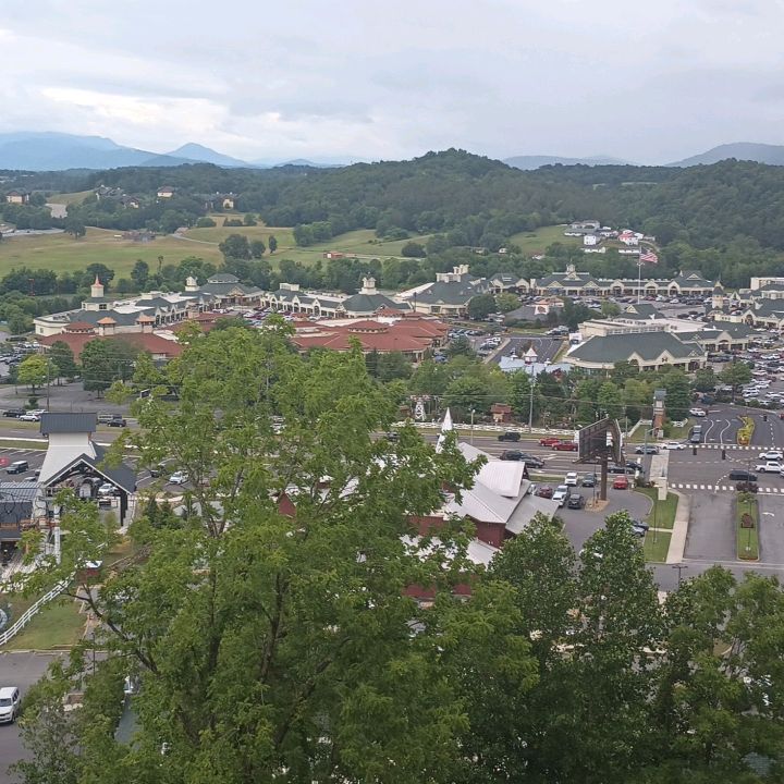 Profile Picture of Adam Beheler (@adambeheler20) on Tiktok