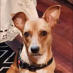 Profile Picture of Jason Benevides (@jason.benevides.5) on Facebook