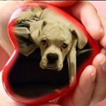 Profile Picture of Eric David Desroches (@ericwoodguy) on Instagram