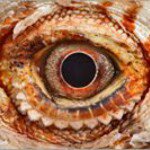 Profile Picture of Nathalie Bourquin (@nathaliebourquin) on Instagram