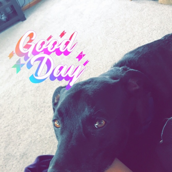 Profile Picture of Carlie Ollerich (@carls_loves) on Poshmark