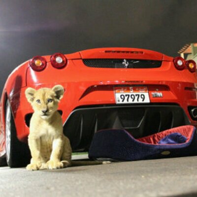 Profile Picture of Ahmed Alhameli (@ferrari97979) on Twitter