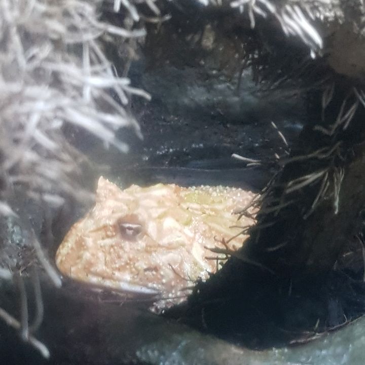 Profile Picture of Davide Di Marzio (@davidedimarzio00) on Tiktok