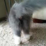 Profile Picture of Quinn Boone (@qboone30) on Instagram