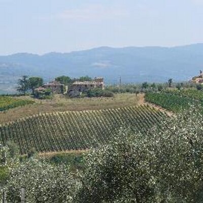 Profile Picture of Mark Van Andel (@markvanandel) on Twitter