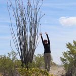 Profile Picture of Kim Eiland Ungar (@ungarkim) on Instagram