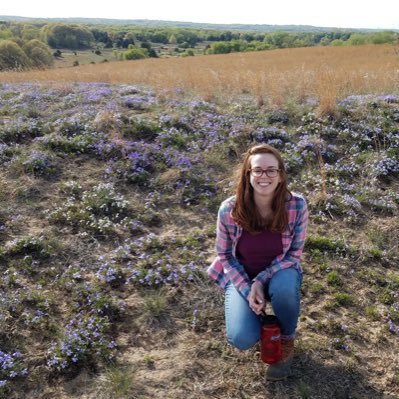Profile Picture of Laura Chatham (@lachatham) on Twitter