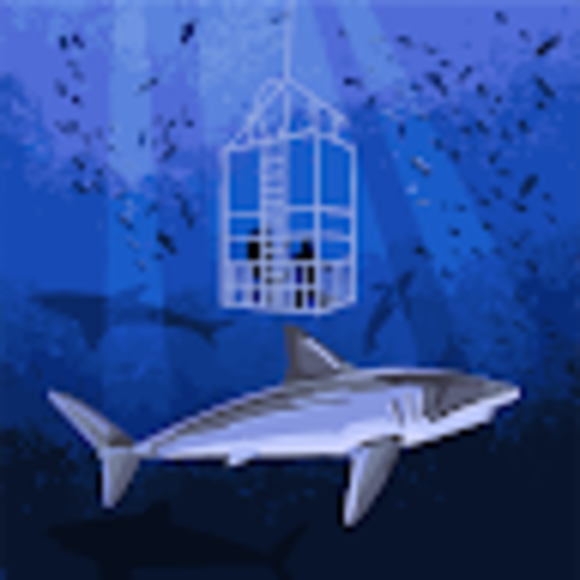 Profile Picture of Ryan Lillemoen (@ryanlillemoen33) on Poshmark