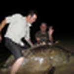 Profile Picture of Rob Stewart (@rottenrobbiestewart) on Flickr