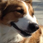 Profile Picture of Glenn Bailey Jr. (@glennbaileyjr) on Instagram