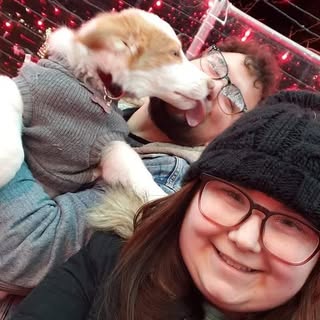 Profile Picture of Scott Boyce (@boyce.scott) on Instagram