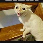 Profile Picture of Matthew Greenlee (@matthew.greenlee.798) on Instagram