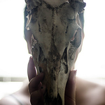 Taylor Humphreys - Flickr Profile Picture of Taylor Humphreys (@a skeleton) on Flickr