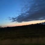 Profile Picture of Tristan Peterson (@Tristan-Peterson) on Facebook