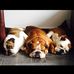 Profile Picture of Lorraine Crozier (@lorraine.crozier.3154) on Facebook