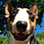 Profile Picture of Patty Peets (@patty peets) on Flickr