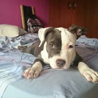 Profile Picture of Simeon Hristov (@dimitrisunlife) on Pinterest