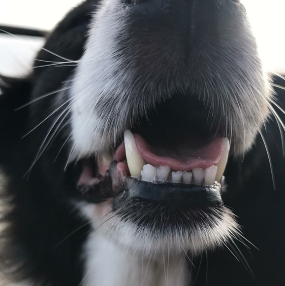 Profile Picture of Dean Regev (@deanregev) on Poshmark