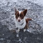 Profile Picture of Eric Wiens (@wiener76) on Instagram