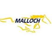 Profile Picture of Malloch Elemntary (@gomallochschool) on Youtube