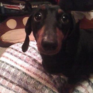 Profile Picture of Marshall Townsend (@marshall.townsend.568) on Facebook