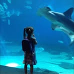 Profile Picture of Taryn Earl (@jade.idk.925) on Facebook