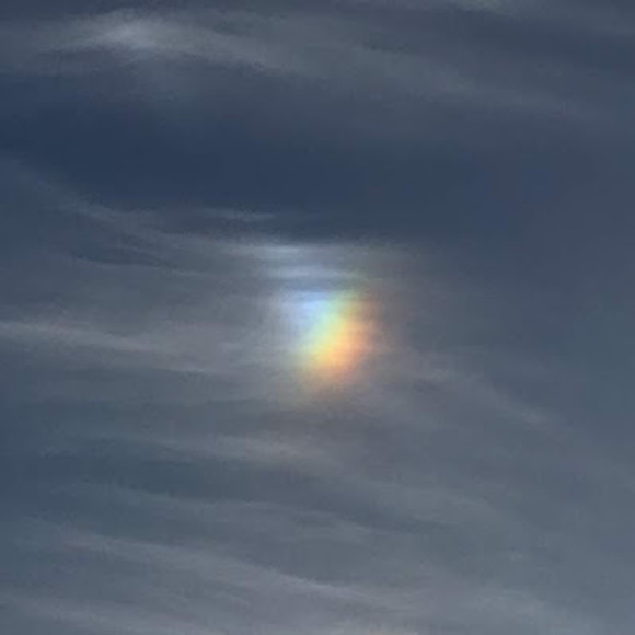 Profile Picture of Emma Heinzelmann (@emmaheinzelgirl) on Poshmark