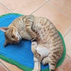 Profile Picture of Kyle Maun (@Kyle-Maun) on Facebook